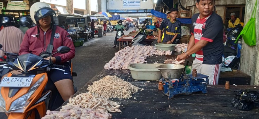 pedagang ayam
