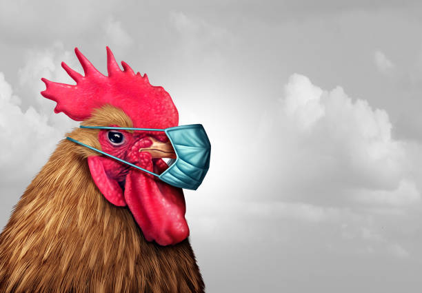 flu burung