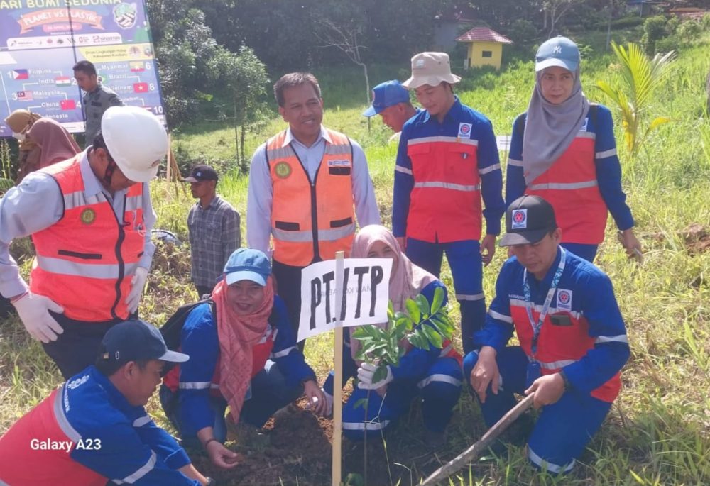 tanam pohon1